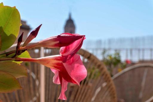 Appartement Plein Coeur Centre Historique De Málaga Eksteriør billede