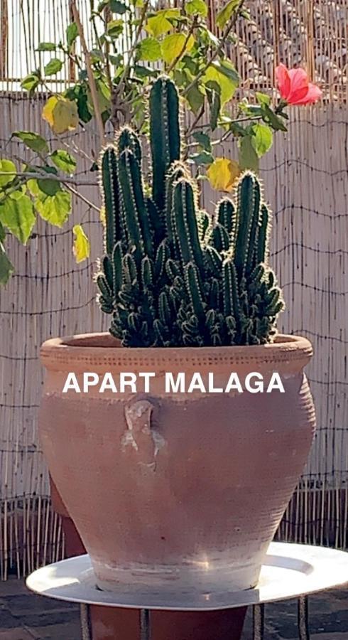 Appartement Plein Coeur Centre Historique De Málaga Eksteriør billede